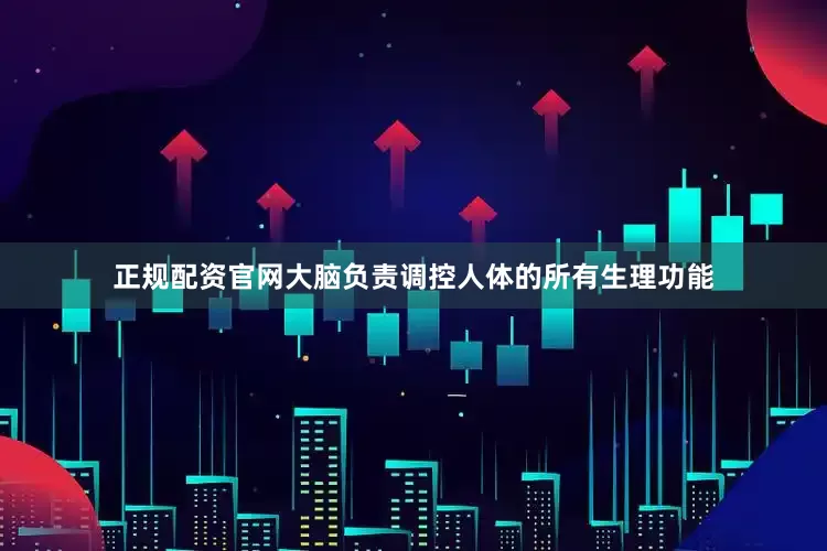 正规配资官网大脑负责调控人体的所有生理功能
