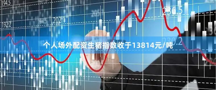 个人场外配资生猪指数收于13814元/吨