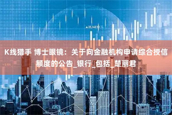 K线猎手 博士眼镜：关于向金融机构申请综合授信额度的公告_银行_包括_楚丽君