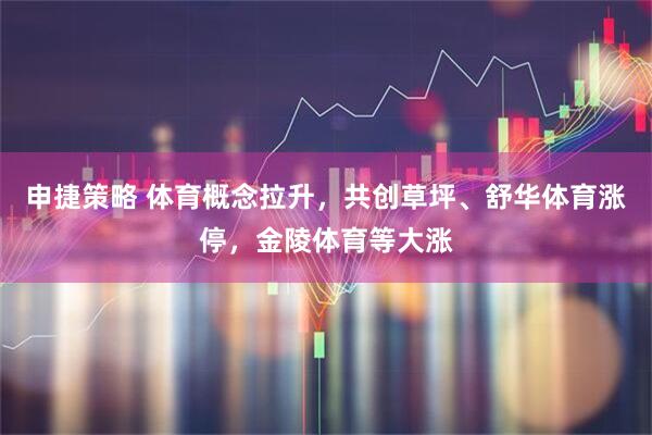 申捷策略 体育概念拉升，共创草坪、舒华体育涨停，金陵体育等大涨