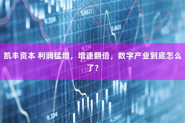 凯丰资本 利润猛增，增速翻倍，数字产业到底怎么了？